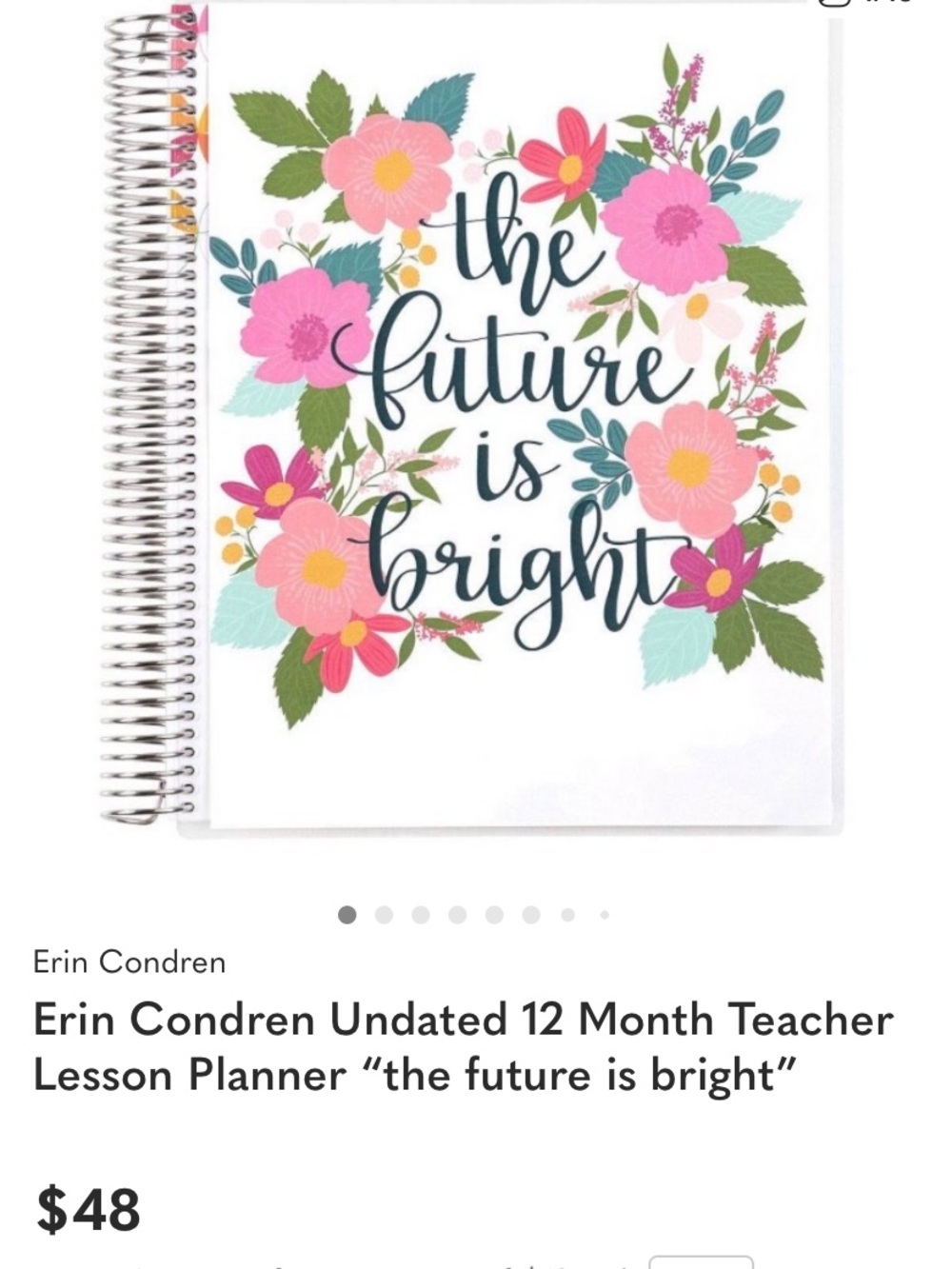 Erin Condren Rainbow Accented Teacher Lesson Planner